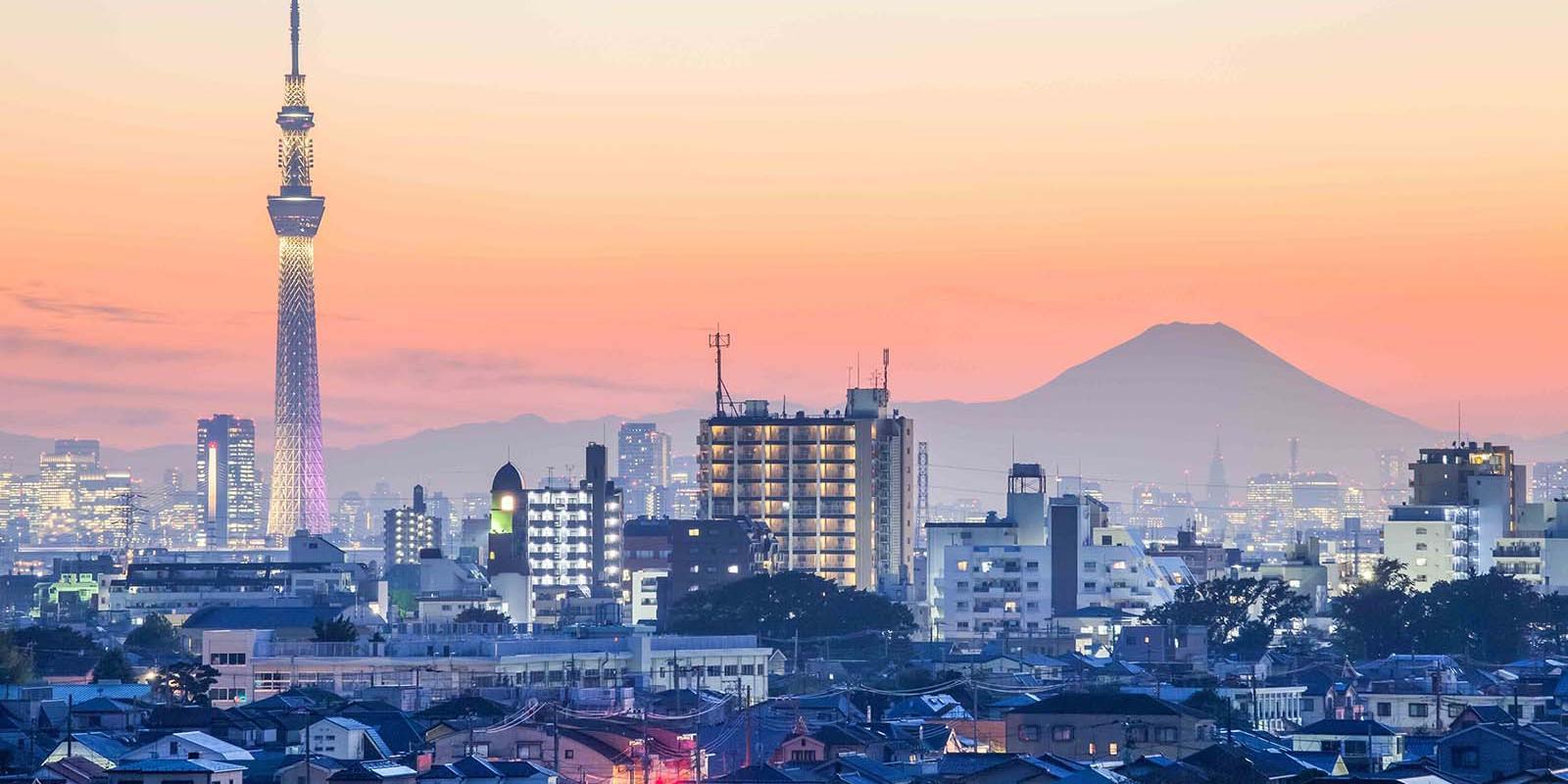 東京疫情最新人數(shù)，自然療愈與內(nèi)心平靜的尋找之旅